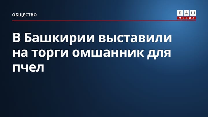 В Башкирии выставили на торги омшанник для пчел