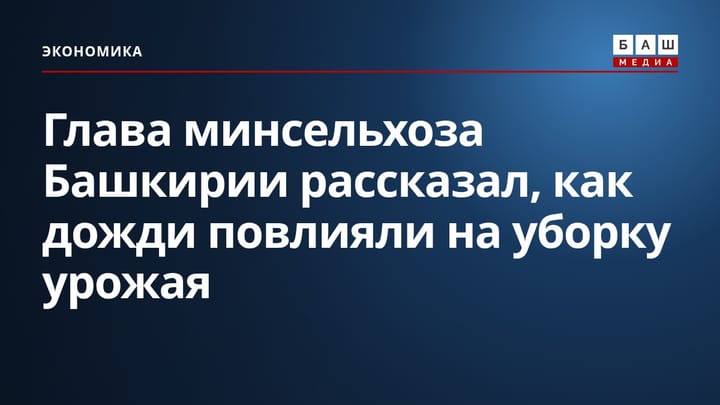 Глава минсельхоза Башкирии рассказал, как дожди повлияли на уборку урожая