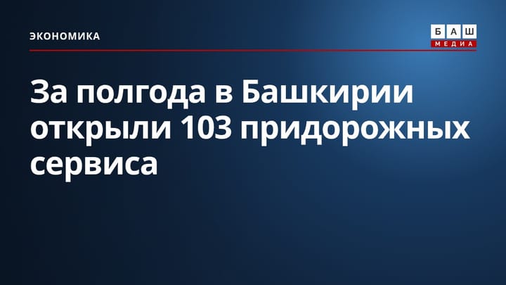 За полгода в Башкирии открыли 103 придорожных сервиса
