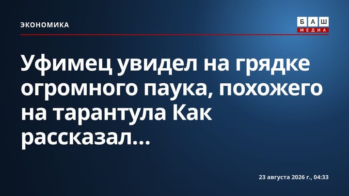 Уфимец увидел на грядке огромного паука, похожего на тарантула Как рассказал...