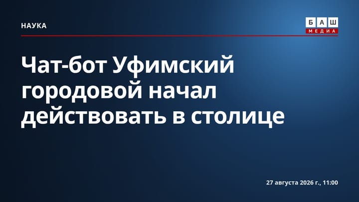 Чат-бот Уфимский городовой начал действовать в столице