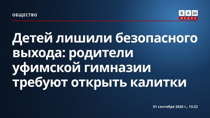 Детей лишили безопасного выхода : родители уфимской гимназии требуют открыть калитки