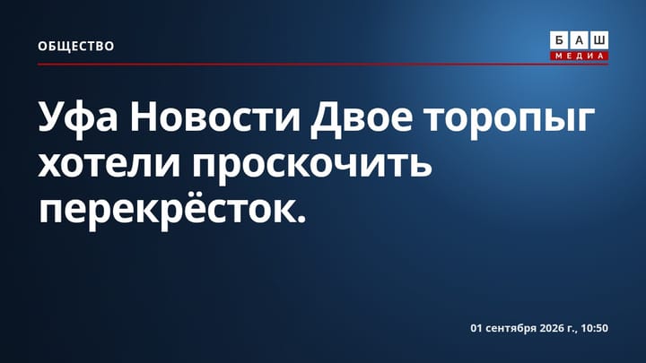 Уфа Новости Двое торопыг хотели проскочить перекрёсток.