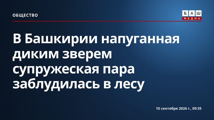 В Башкирии напуганная диким зверем супружеская пара заблудилась в лесу