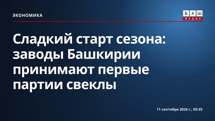 Сладкий старт сезона: заводы Башкирии принимают первые партии свеклы