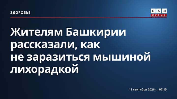 Жителям Башкирии рассказали, как не заразиться мышиной лихорадкой
