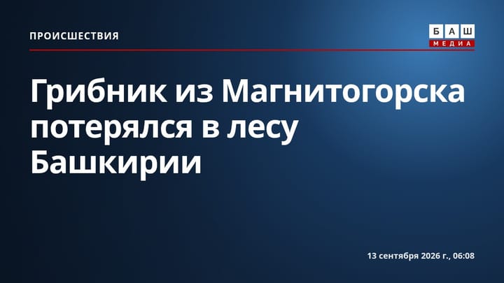 Грибник из Магнитогорска потерялся в лесу Башкирии
