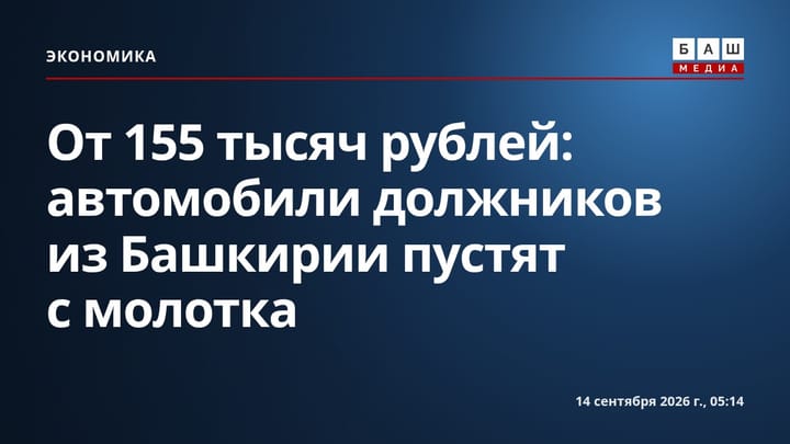 От 155 тысяч рублей: автомобили должников из Башкирии пустят с молотка
