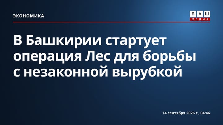 В Башкирии стартует операция Лес для борьбы с незаконной вырубкой