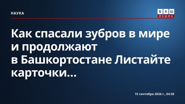 Как спасали зубров в мире и продолжают в Башкортостане Листайте карточки...