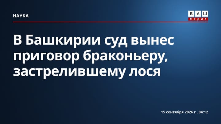 В Башкирии суд вынес приговор браконьеру, застрелившему лося