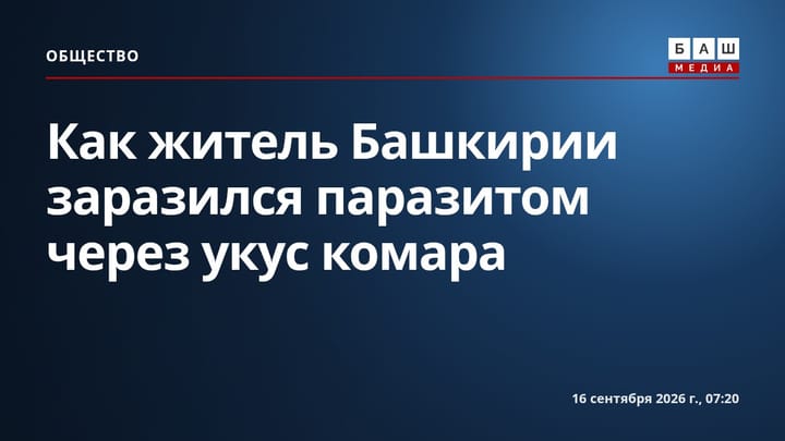 Как житель Башкирии заразился паразитом через укус комара