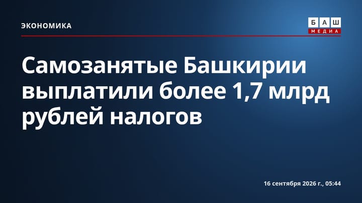 Самозанятые Башкирии выплатили более 1,7 млрд рублей налогов