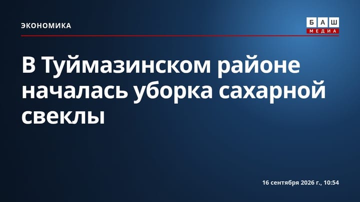 В Туймазинском районе началась уборка сахарной свеклы