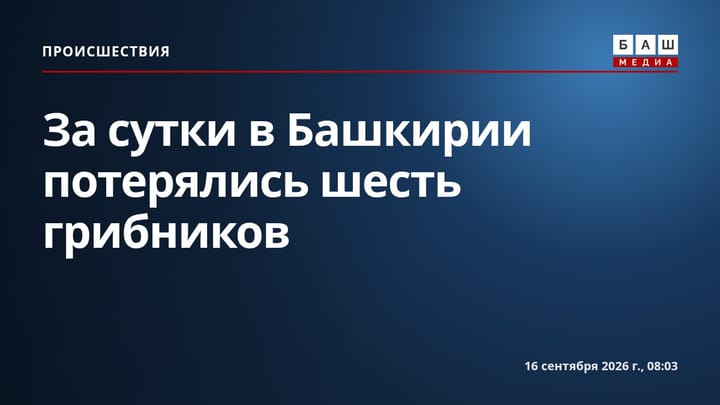 За сутки в Башкирии потерялись шесть грибников