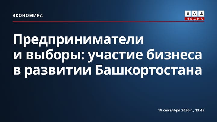 Предприниматели и выборы: участие бизнеса в развитии Башкортостана