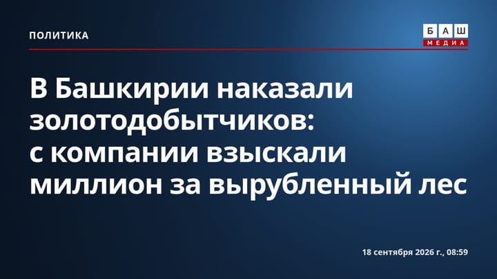 В Башкирии наказали золотодобытчиков: с компании взыскали миллион за вырубленный лес
