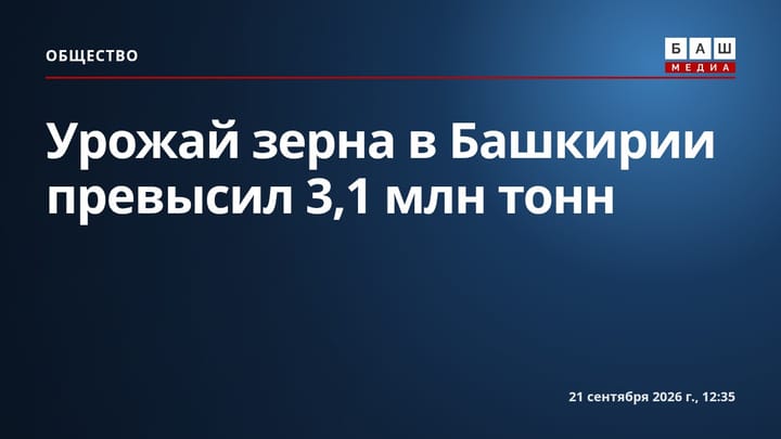 Урожай зерна в Башкирии превысил 3,1 млн тонн
