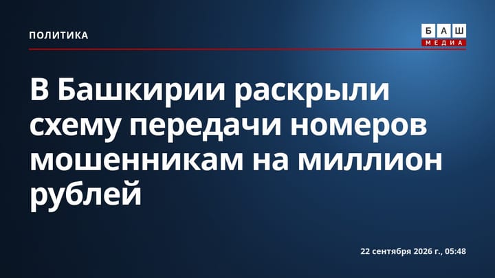 В Башкирии раскрыли схему передачи номеров мошенникам на миллион рублей
