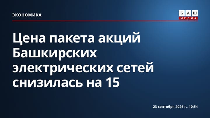 Цена пакета акций Башкирских электрических сетей снизилась на 15