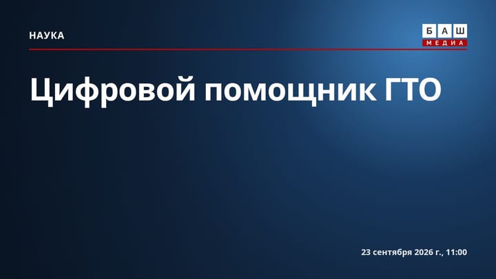 Цифровой помощник ГТО