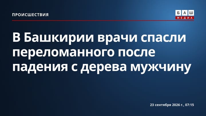 В Башкирии врачи спасли переломанного после падения с дерева мужчину