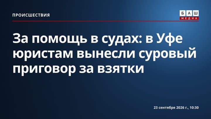 За помощь в судах: в Уфе юристам вынесли суровый приговор за взятки