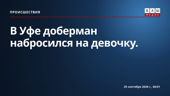 В Уфе доберман набросился на девочку.