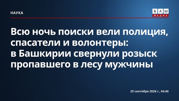 Всю ночь поиски вели полиция, спасатели и волонтеры: в Башкирии свернули розыск пропавшего в лесу мужчины