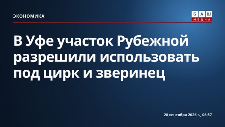 В Уфе участок Рубежной разрешили использовать под цирк и зверинец