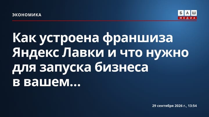 Как устроена франшиза Яндекс Лавки и что нужно для запуска бизнеса в вашем...