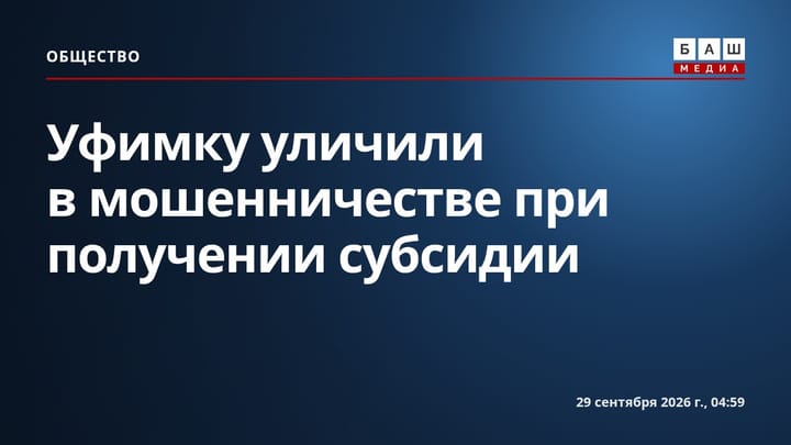 Уфимку уличили в мошенничестве при получении субсидии