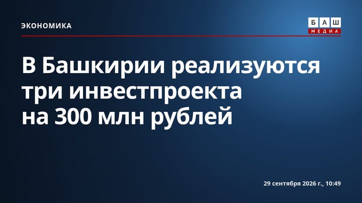 В Башкирии реализуются три инвестпроекта на 300 млн рублей