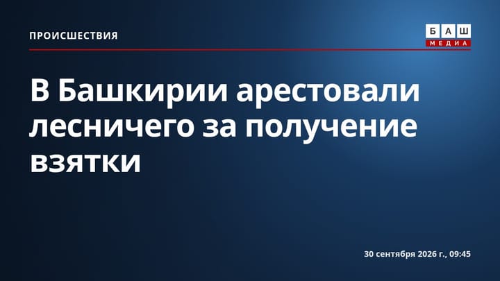 В Башкирии арестовали лесничего за получение взятки