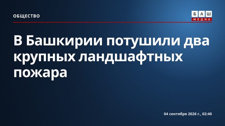 В Башкирии потушили два крупных ландшафтных пожара