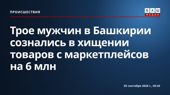 Трое мужчин в Башкирии сознались в хищении товаров с маркетплейсов на 6 млн