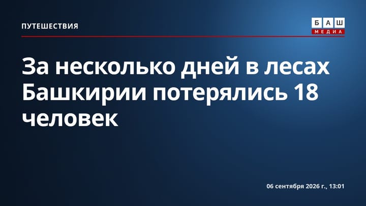 За несколько дней в лесах Башкирии потерялись 18 человек