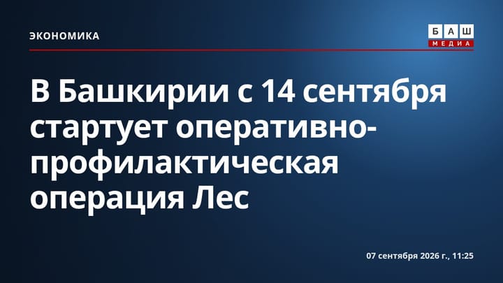 В Башкирии с 14 сентября стартует оперативно-профилактическая операция Лес