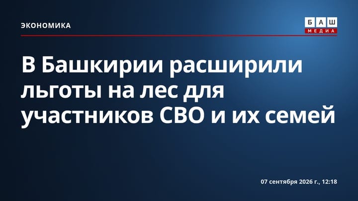 В Башкирии расширили льготы на лес для участников СВО и их семей