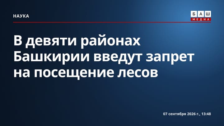 В девяти районах Башкирии введут запрет на посещение лесов