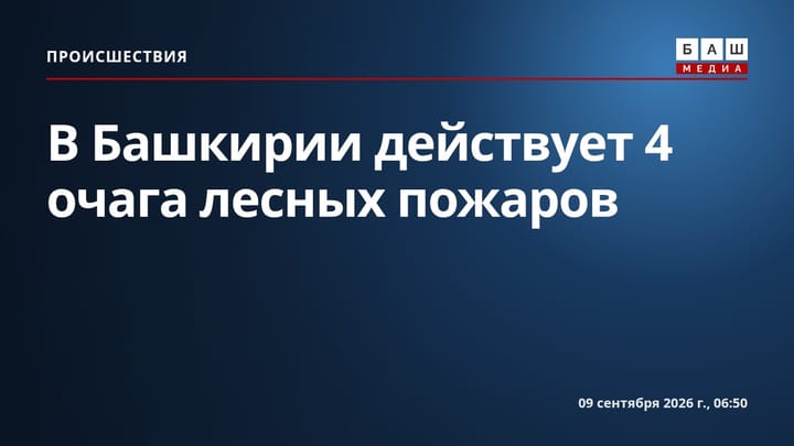 В Башкирии действует 4 очага лесных пожаров