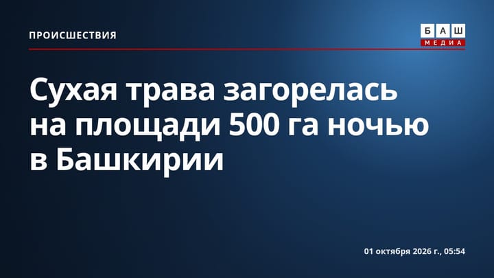 Сухая трава загорелась на площади 500 га ночью в Башкирии