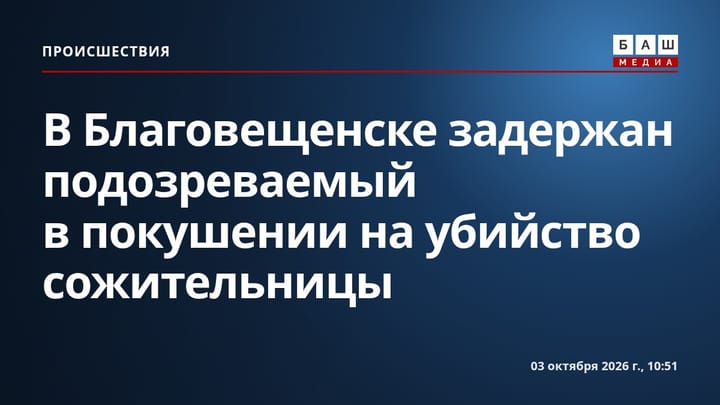 В Благовещенске задержан подозреваемый в покушении на убийство сожительницы