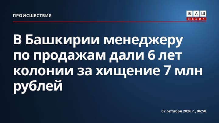 В Башкирии менеджеру по продажам дали 6 лет колонии за хищение 7 млн рублей