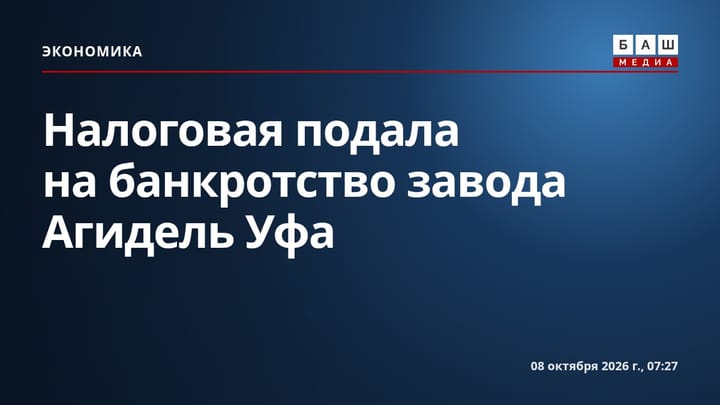 Налоговая подала на банкротство завода Агидель Уфа