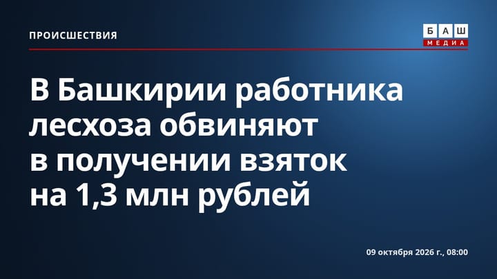 В Башкирии работника лесхоза обвиняют в получении взяток на 1,3 млн рублей