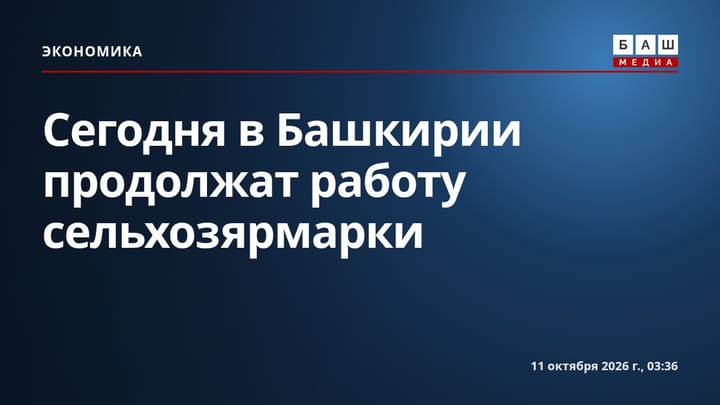 Сегодня в Башкирии продолжат работу сельхозярмарки
