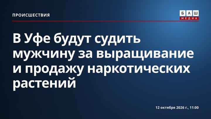 В Уфе будут судить мужчину за выращивание и продажу наркотических растений