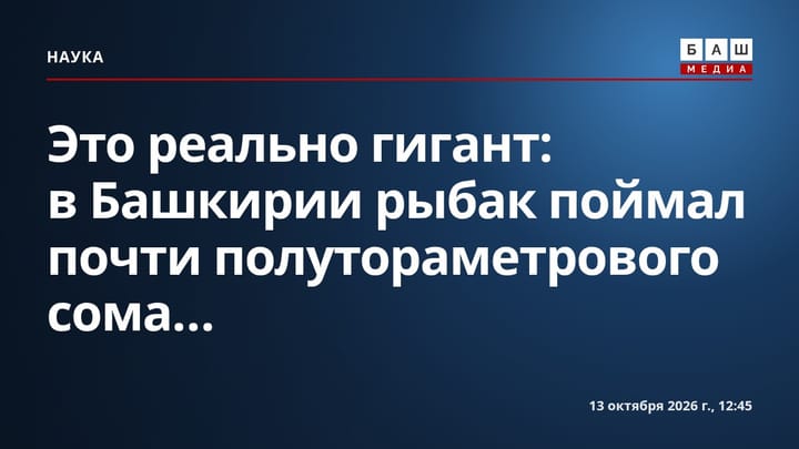 Это реально гигант : в Башкирии рыбак поймал почти полутораметрового сома...