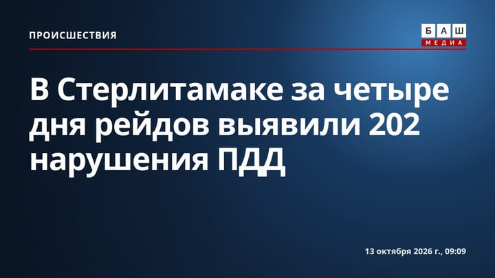 В Стерлитамаке за четыре дня рейдов выявили 202 нарушения ПДД